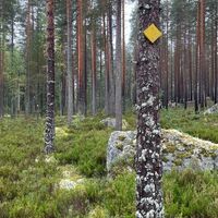 Auf dem Kannaksen-Rundweg teilt sich der Pfad nach links auf