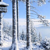 Hochstand