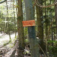 Sattel zwischen Eselstein Georgskogel
