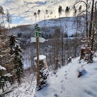 Pfad hinab zum Kandelbach