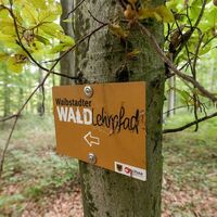 Waldlehrpfad Waibstadt