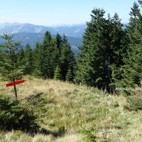 Abstieg zur Bärentalalm
