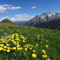 Unterwegs zwischen Samnaun und Alp Bella, Blick auf Piz Mundin
