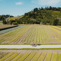 Radtour am Donauradweg Gemüsefeld Pupping Eferding Hinzenbach