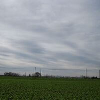 Fels - Absdorf