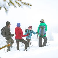Schneeschuh laufen in der Gruppe