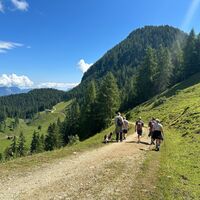 Vom Hauser Joch zur Holzalm