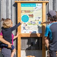 Infotafel „Das vielseitige Schaf“ am Landwirtschafts-Themenweg in Niedernsill