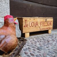 Die Rundfahrt um den Ledrosee führt durch die Altstadt von Mezzolago