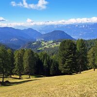 auf der Almwiese nahe dem Hl. Florian