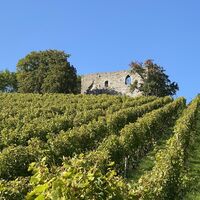 Burgruine Helfenberg | Ilsfeld | HeilbronnerLand