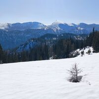 Aflenzer Staritzen und Hochweichsel