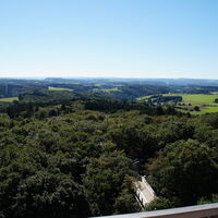 Ausblick vom Aussichtsturm auf Panarbora