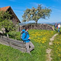 Wandern in der Buckligen Welt