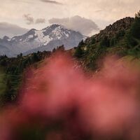 Der Monte Disgrazia, Rätische Alpen, vom Monte Lago, Orobi-Alpen