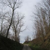 Fels - Absdorf