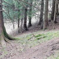 Hier wieder rechts ab. und weiter gehts um den Reitstein herum.