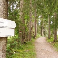 Waldweg...