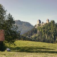 Ausblick auf die Burgruine Gallenstein