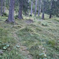 Hier der Trampelpfad mit gelber Markierung im Wald unterhalb der Jagdhütte