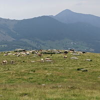Panorama auf das Becken von Tornetti