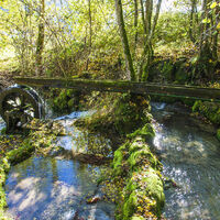 Heckentalquelle