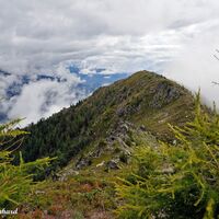 Abstieg: zurück auf die Koppen.