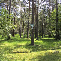 Naturschutzgebiet
