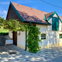 Kellergasse (Zeißelthal), Groß-Schweinbarth, Hohlwegrunde