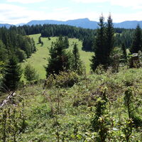 Blick zur Starkhöhe
