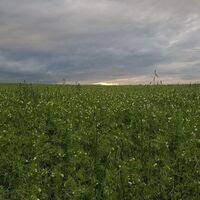 Jurahöhe südöstliche Fränkische Schweiz