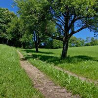 Unterwegs in der Oststeiermark