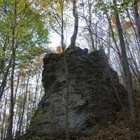 Abstieg am unmarkierten Steig im "Langen Tal"