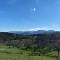 Im Paradies der Blicke
