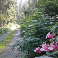 Unterwegs zur Raubritterburg Wysburg