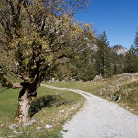 Weg Brecca - Alpenpanoramaweg Etappe 20