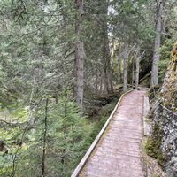 Rischinerwald
