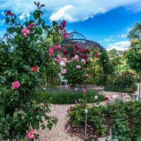 Rosen-Duft-Garten Nöggenschwiel