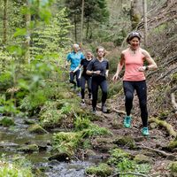 Schmaler Pfad entlang des Baches