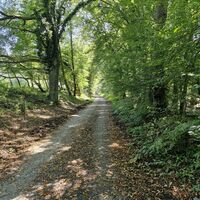 Radtour Heide-Rider Tour