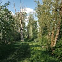 86 - laufrunde-woerschach-enns-18 © Christoph Lukas (2025-06)_5000px.jpg