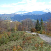 Aufstieg zur Gschwendhütte/Linsberg