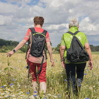 Wandern in der Ferienregion Medebach