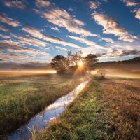 Sonnenaufgang im Ruggeller Riet