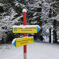Beschilderung Premim-Winterwanderweg Kapfwaldrunde