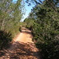 Wanderung auf der Via Domitia0010 ©CDRP34