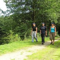 Wandern bei Meschede