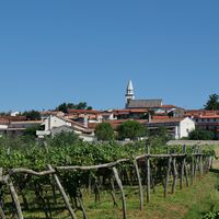 Kobjeglava, umgeben von Weinbergen.