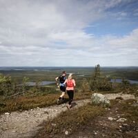 Trailrunner auf dem Gipfel des Valtavaara, Ruka Kuusamo