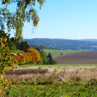 Ausblick am B7